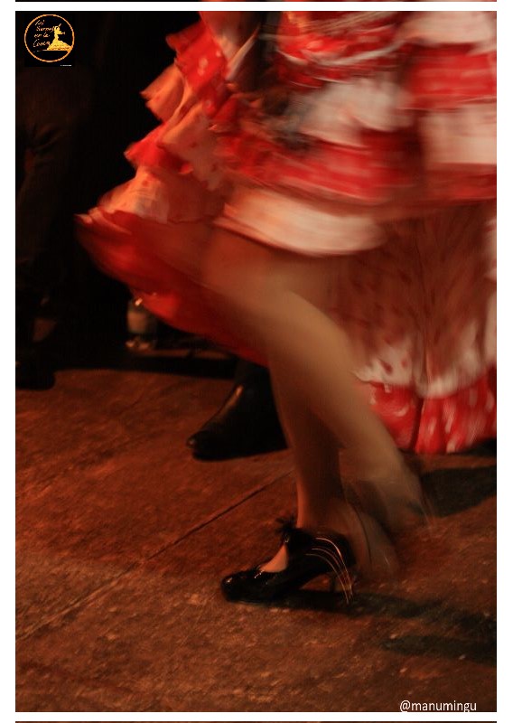 Tablao flamenco nel cuore di Bologna los viernes en la cueva